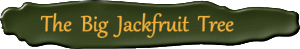 name-button